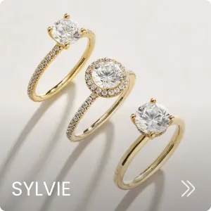 Collection 5