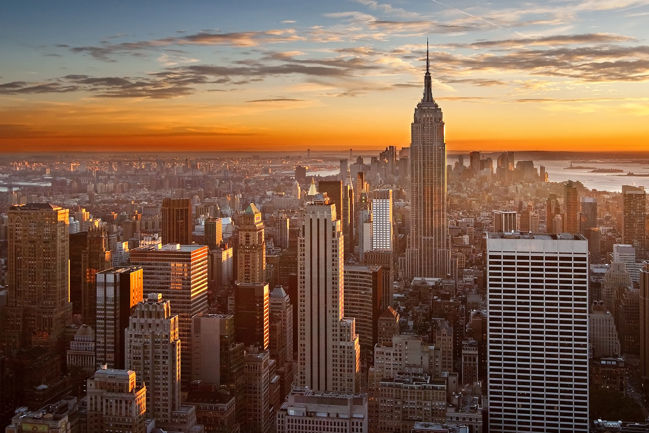 Bhimani & Co. New York office