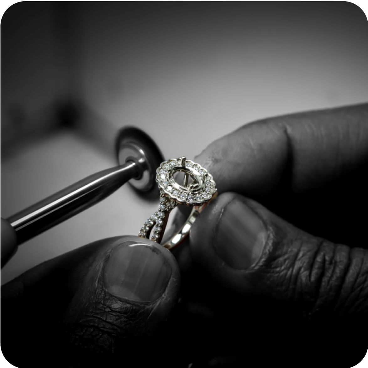 Polished to Perfection