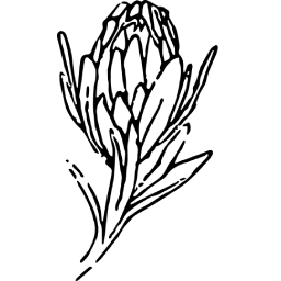 Demo App