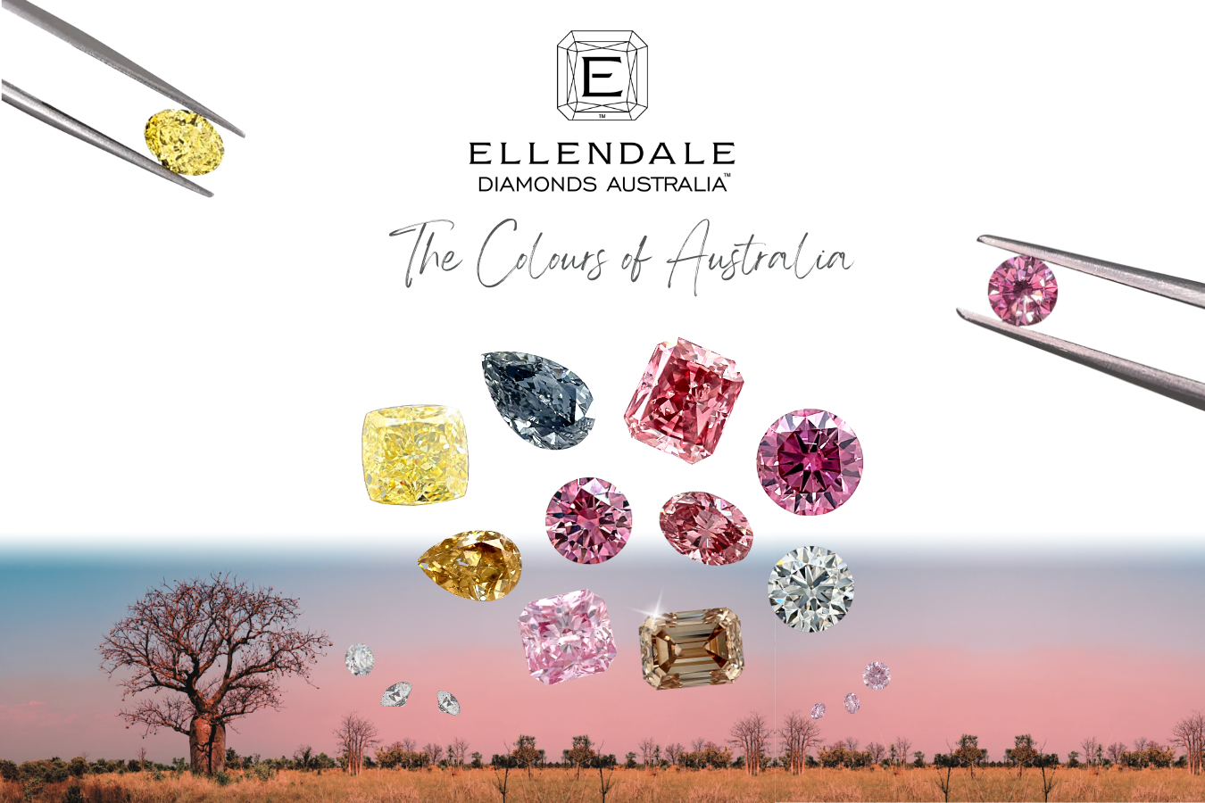 Discover a World of Colours