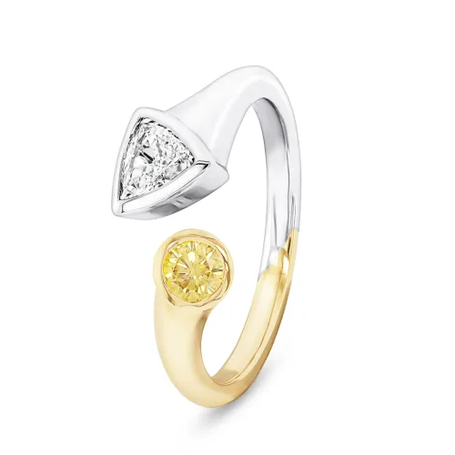 Ring 3