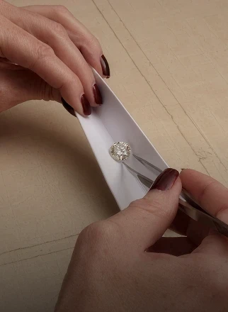 $4.1B+ Sales Data Insights