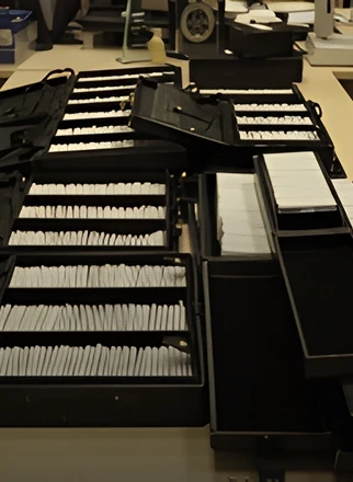 Strategic Growth Partnership