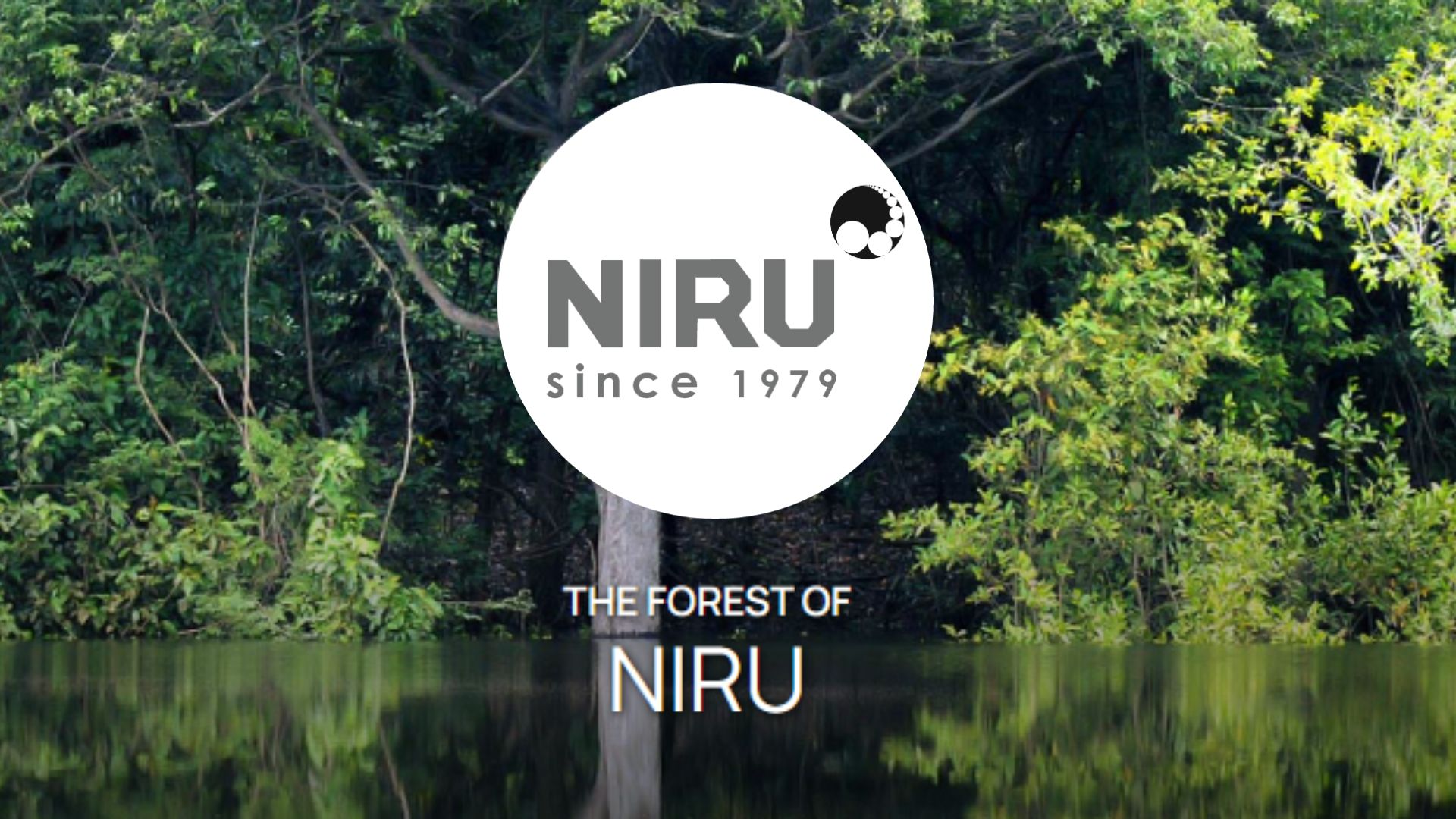 Why Niru 3